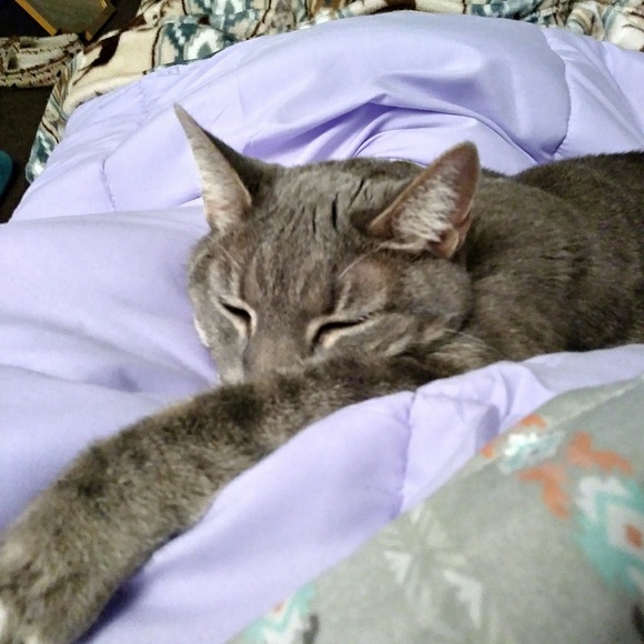 Meet your Posher, Vanessa - Picture 2 of 8